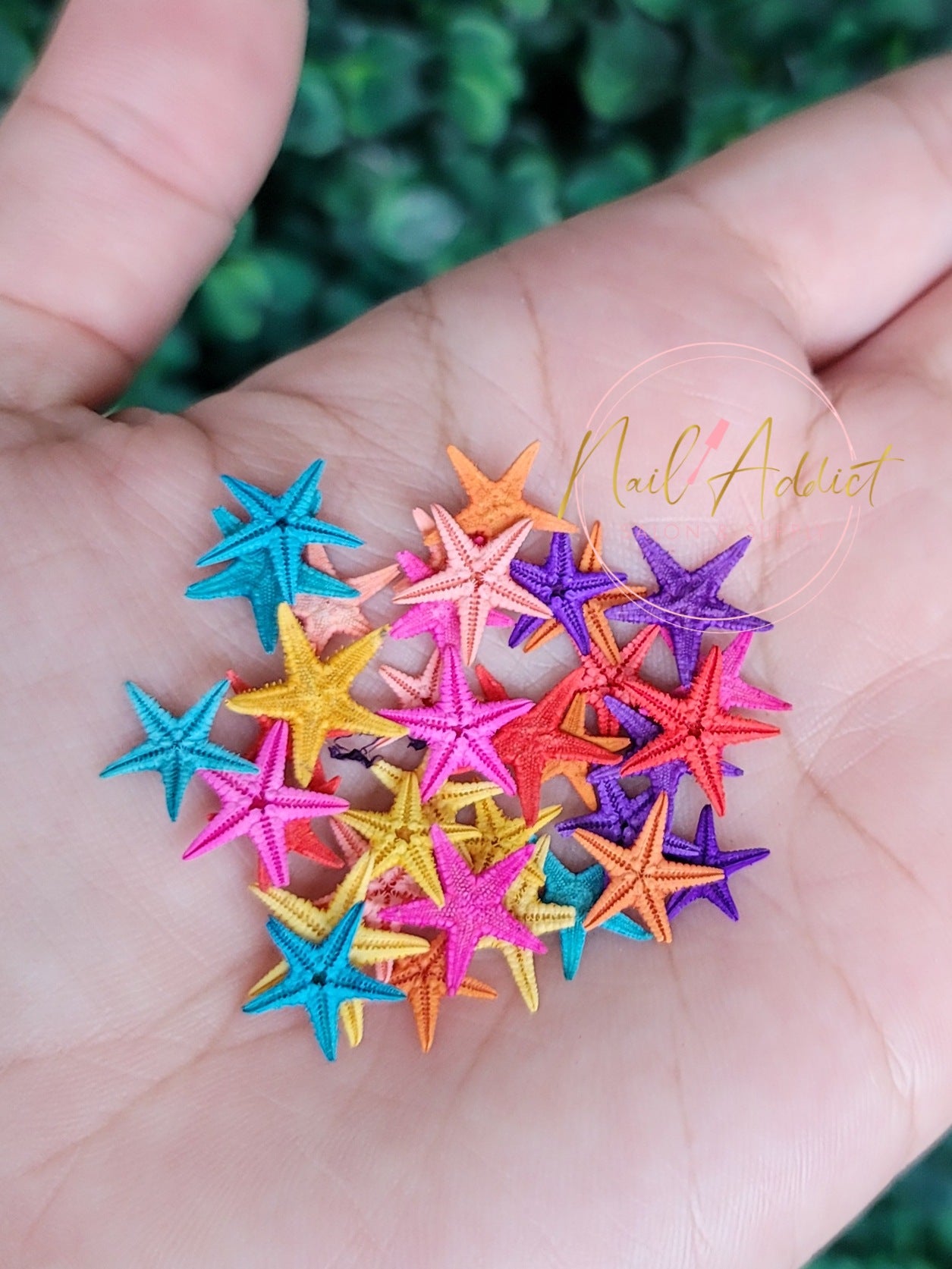 21 ESTRELLAS SURTIDAS