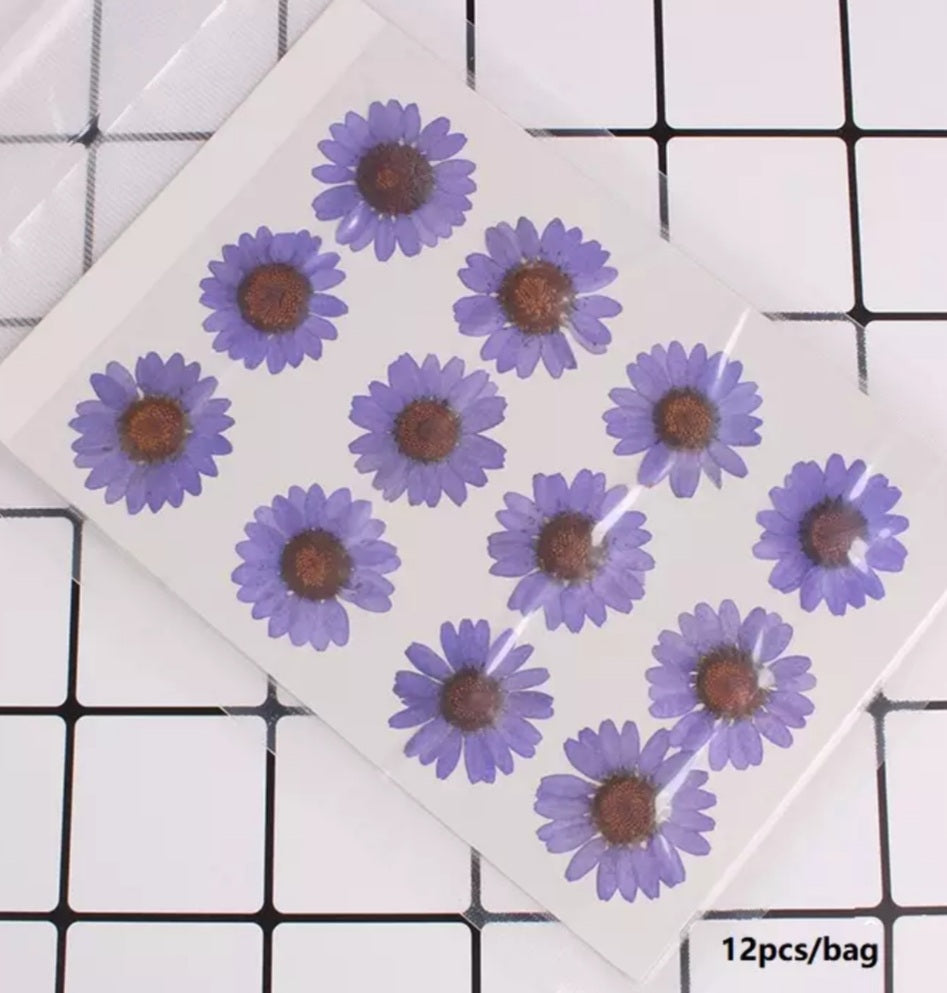 FLOR 12PCS VIOLETA